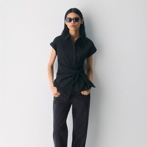 Aritzia Babaton blueprint poplin shirt